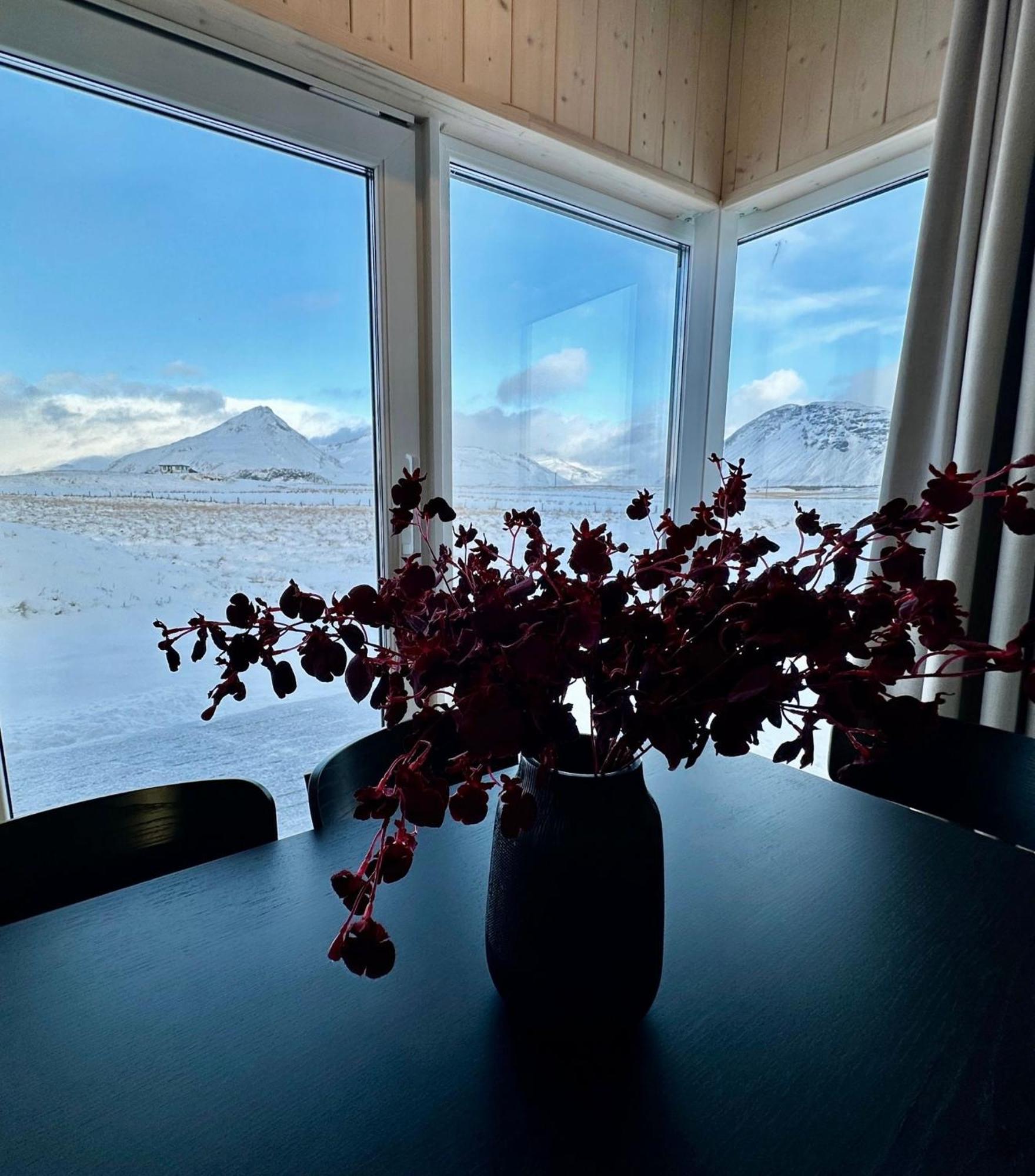 Rey Stays - House Höfn Exteriör bild
